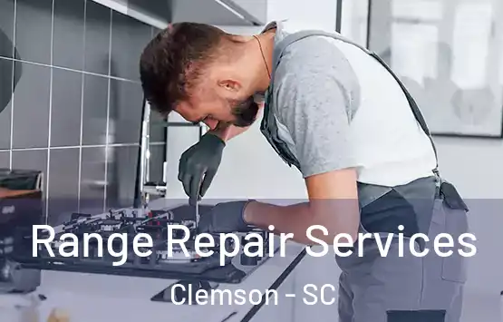  Range Repair Services Clemson - SC