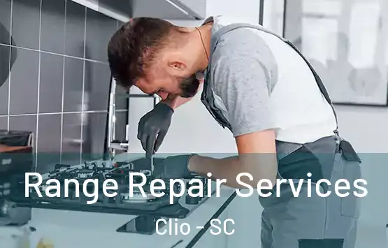  Range Repair Services Clio - SC