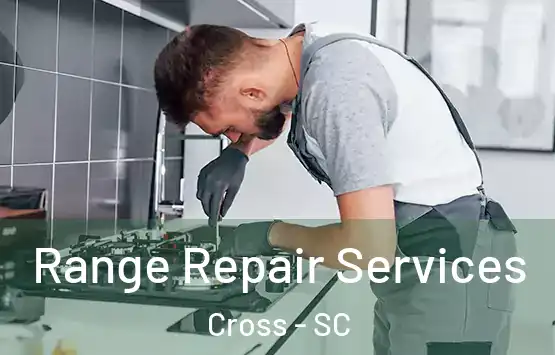  Range Repair Services Cross - SC