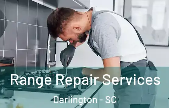  Range Repair Services Darlington - SC