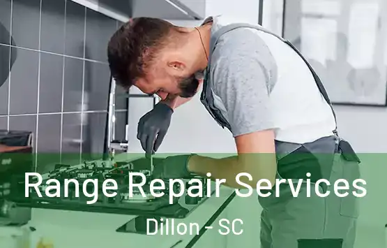  Range Repair Services Dillon - SC