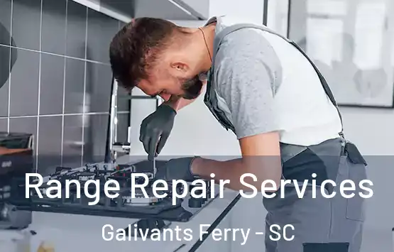  Range Repair Services Galivants Ferry - SC
