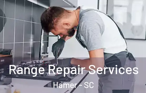  Range Repair Services Hamer - SC