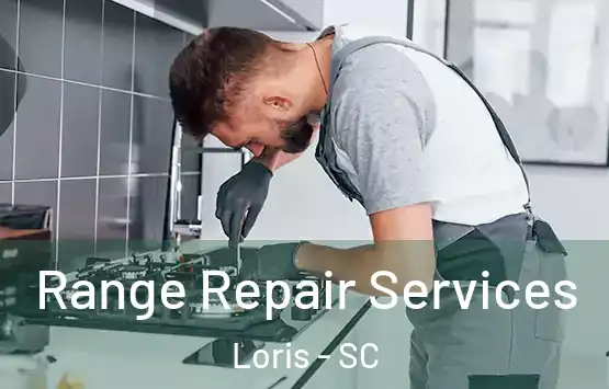  Range Repair Services Loris - SC