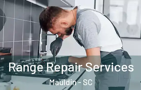  Range Repair Services Mauldin - SC