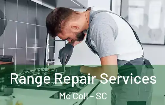  Range Repair Services Mc Coll - SC