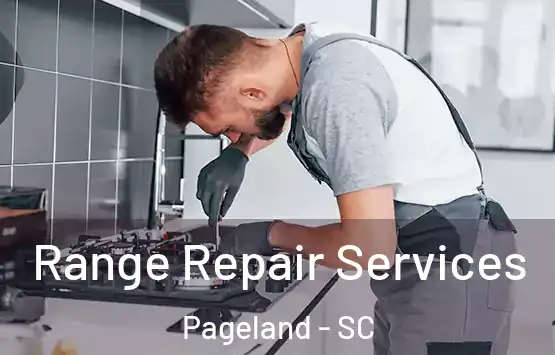  Range Repair Services Pageland - SC