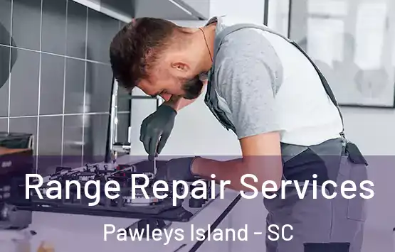  Range Repair Services Pawleys Island - SC