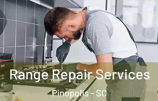  Range Repair Services Pinopolis - SC