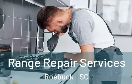  Range Repair Services Roebuck - SC