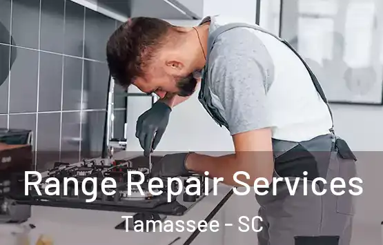  Range Repair Services Tamassee - SC