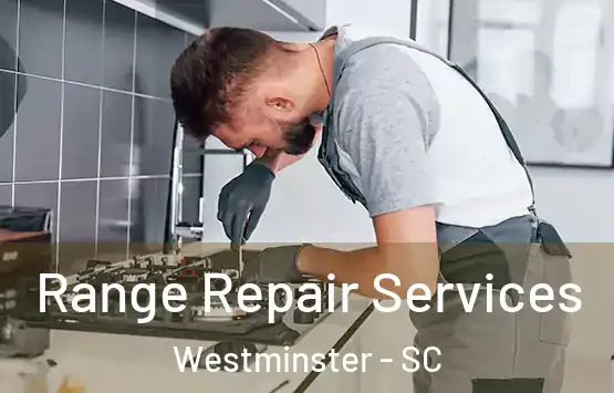  Range Repair Services Westminster - SC