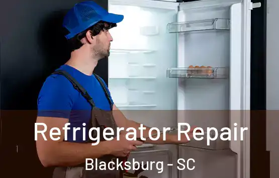  Refrigerator Repair Blacksburg - SC