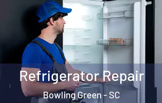  Refrigerator Repair Bowling Green - SC