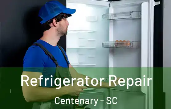  Refrigerator Repair Centenary - SC