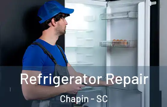  Refrigerator Repair Chapin - SC