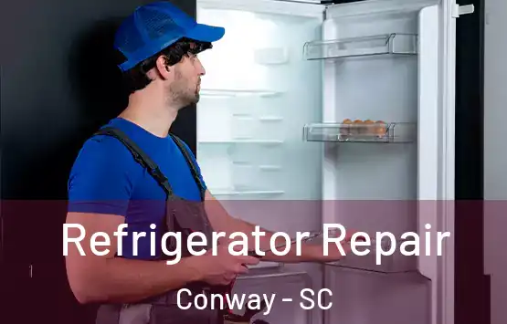  Refrigerator Repair Conway - SC