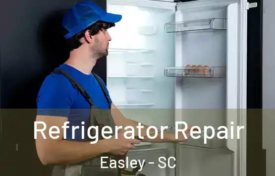  Refrigerator Repair Easley - SC