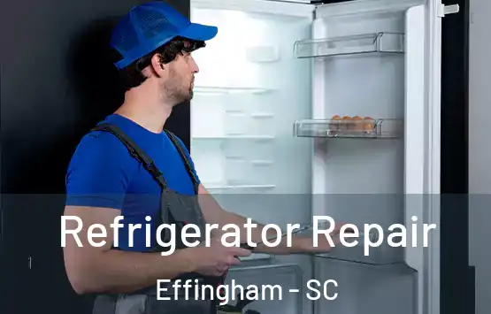  Refrigerator Repair Effingham - SC