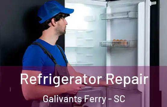  Refrigerator Repair Galivants Ferry - SC