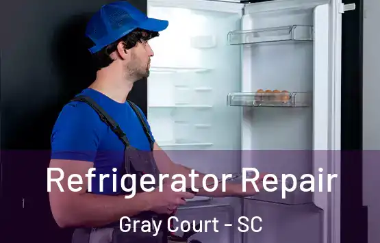  Refrigerator Repair Gray Court - SC