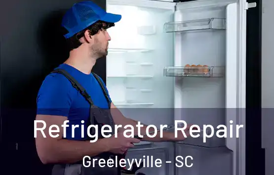  Refrigerator Repair Greeleyville - SC