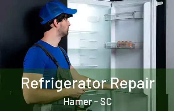  Refrigerator Repair Hamer - SC