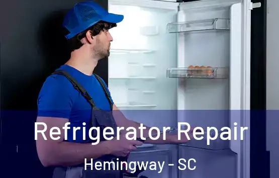  Refrigerator Repair Hemingway - SC