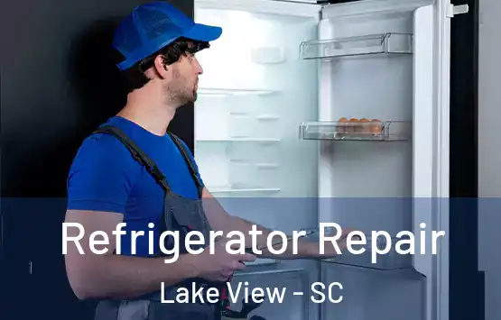  Refrigerator Repair Lake View - SC