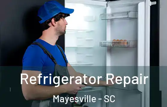  Refrigerator Repair Mayesville - SC
