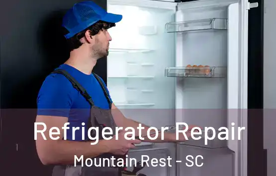  Refrigerator Repair Mountain Rest - SC