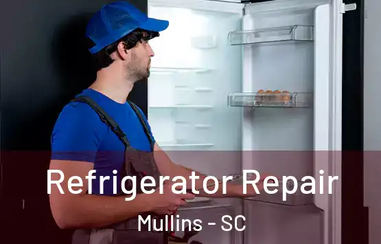  Refrigerator Repair Mullins - SC