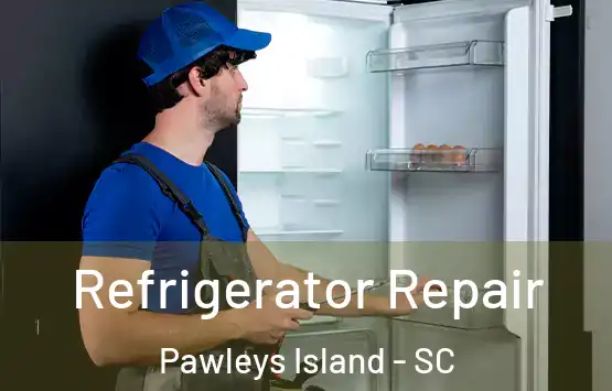  Refrigerator Repair Pawleys Island - SC