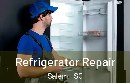  Refrigerator Repair Salem - SC