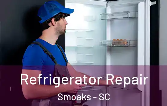  Refrigerator Repair Smoaks - SC