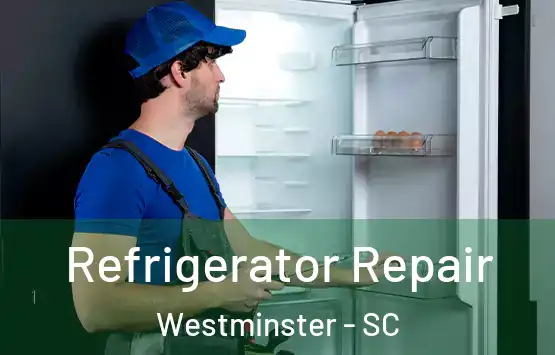  Refrigerator Repair Westminster - SC