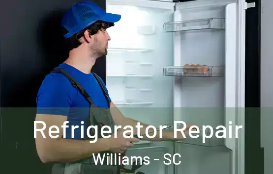  Refrigerator Repair Williams - SC