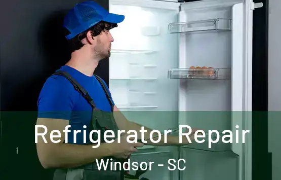  Refrigerator Repair Windsor - SC