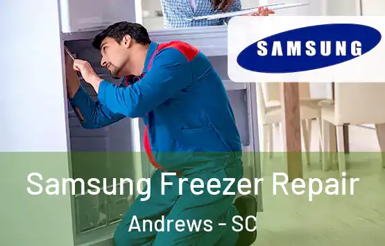  Samsung Freezer Repair Andrews - SC