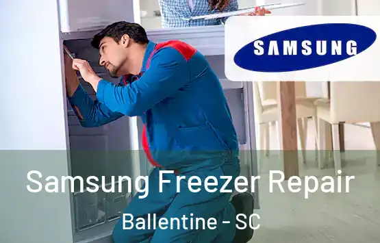  Samsung Freezer Repair Ballentine - SC