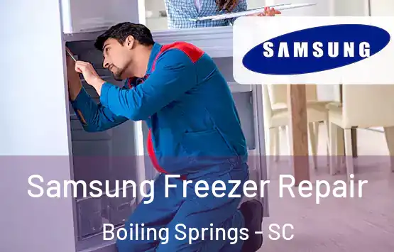  Samsung Freezer Repair Boiling Springs - SC