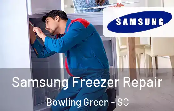  Samsung Freezer Repair Bowling Green - SC