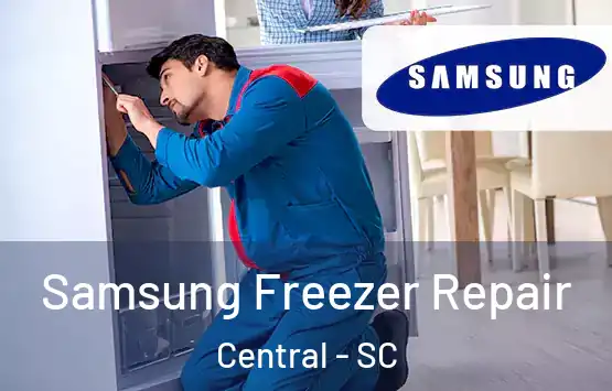  Samsung Freezer Repair Central - SC