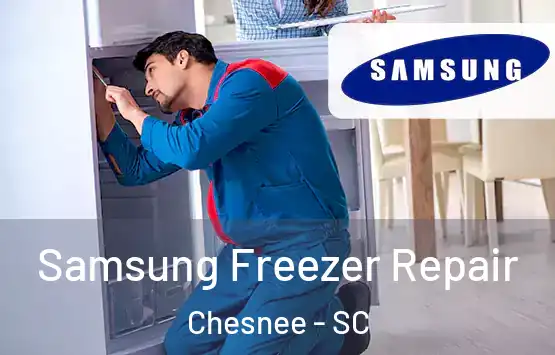 Samsung Freezer Repair Chesnee - SC
