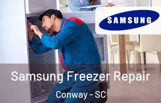  Samsung Freezer Repair Conway - SC