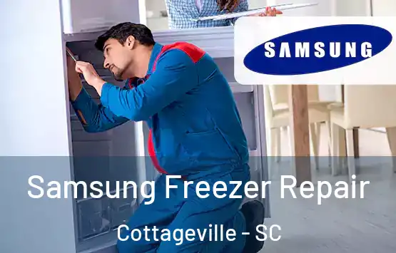  Samsung Freezer Repair Cottageville - SC