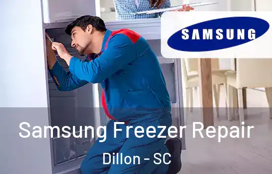  Samsung Freezer Repair Dillon - SC