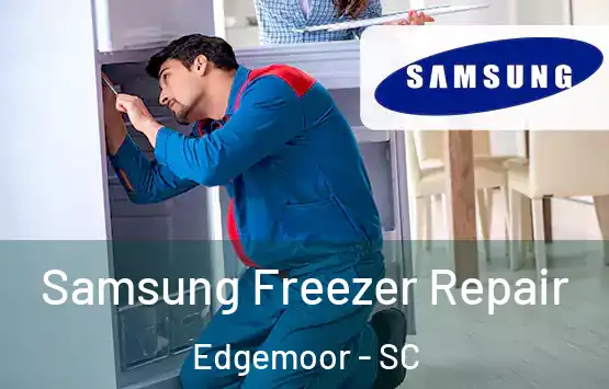  Samsung Freezer Repair Edgemoor - SC