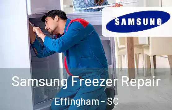  Samsung Freezer Repair Effingham - SC