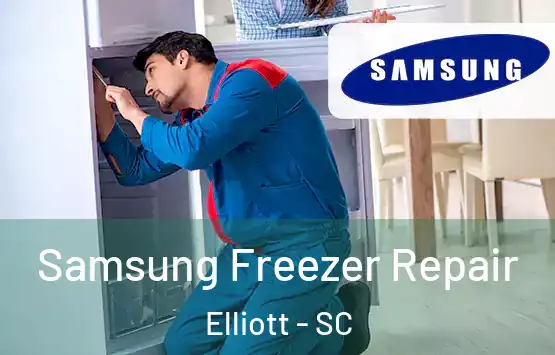  Samsung Freezer Repair Elliott - SC